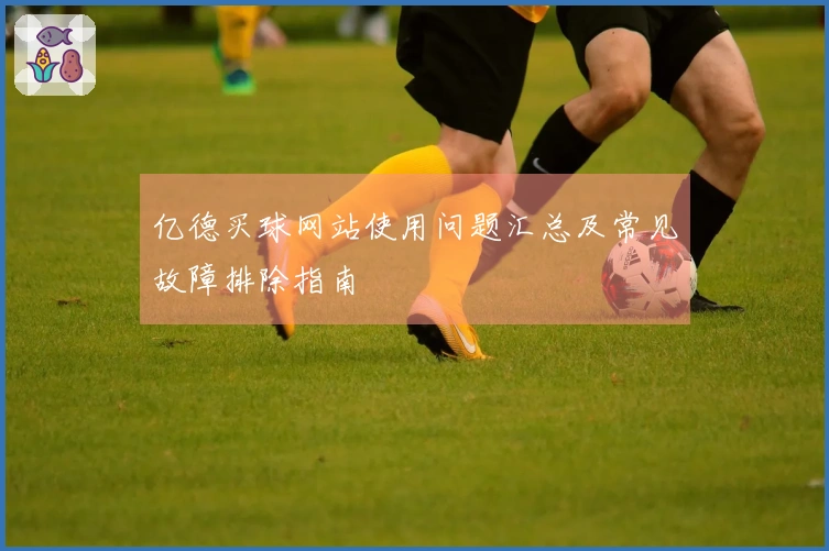亿德买球网站使用问题汇总及常见故障排除指南