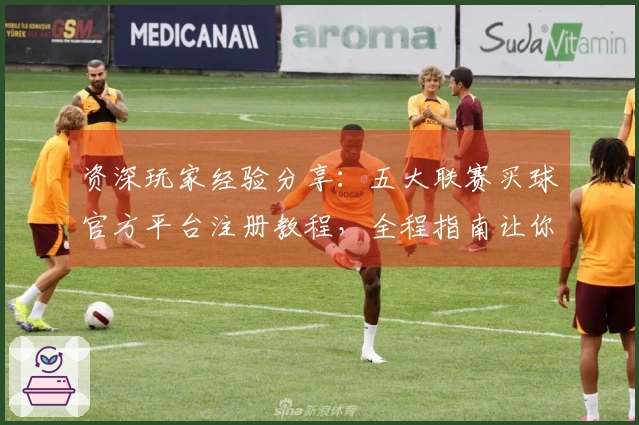 资深玩家经验分享：五大联赛买球官方平台注册教程，全程指南让你轻松上手