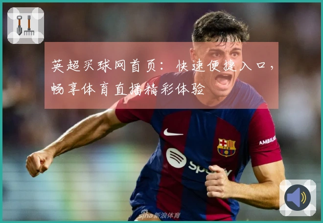 英超买球网首页：快速便捷入口，畅享体育直播精彩体验