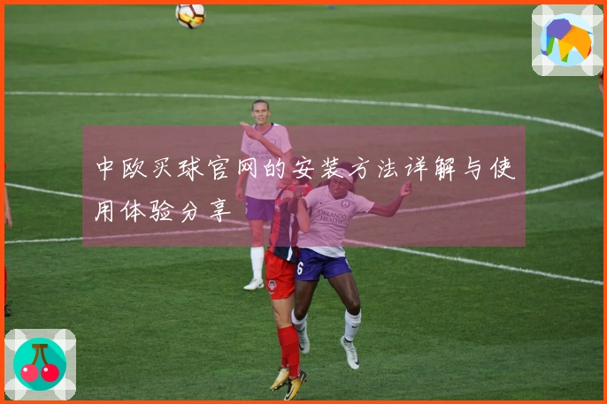 中欧买球官网的安装方法详解与使用体验分享