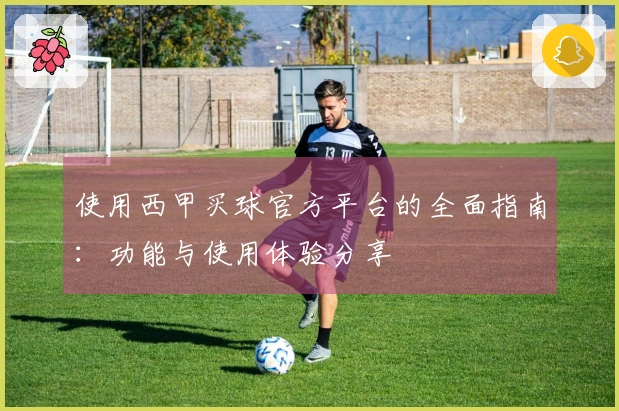 使用西甲买球官方平台的全面指南：功能与使用体验分享