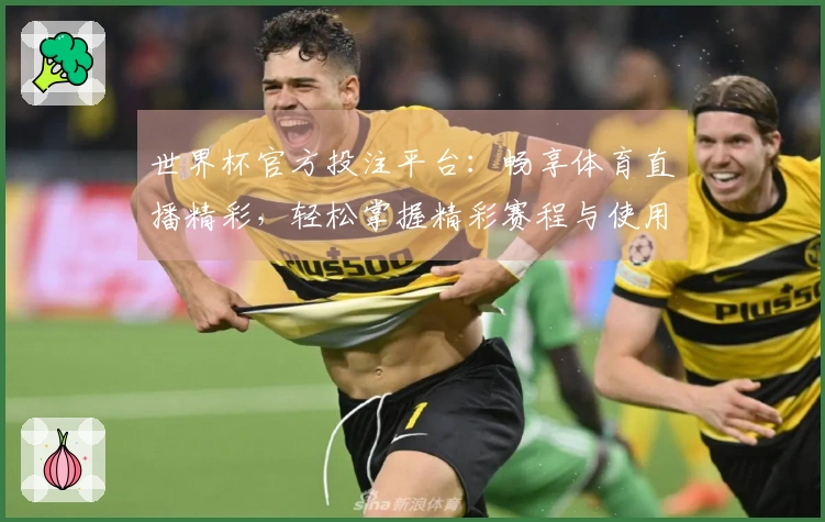 世界杯官方投注平台：畅享体育直播精彩，轻松掌握精彩赛程与使用体验