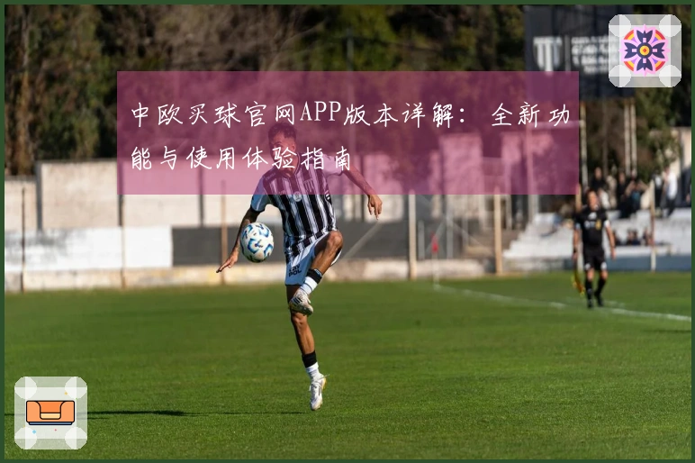 中欧买球官网APP版本详解：全新功能与使用体验指南